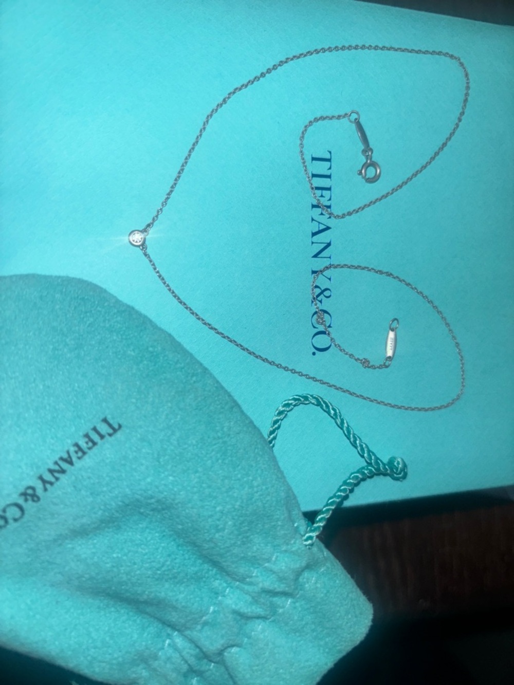 Tiffany & Co. Elsa Peretti Diamond Dot Necklace - Turquoise/Silver